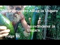 Selbstversorger Alltag in Ungarn # 16 Auswanderer in Ungarn