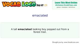 Emaciated – English Pronunciation, Definition, Synonyms, Antonyms, Example Sentence