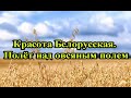 Красота Белорусская. Полёт над овсяным полем. // Beauty Belarusian. Flight over the oat field.