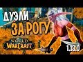 ДУЭЛИ ЗА РОГУ НА DEMO: WOW CLASSIC | WORLD OF WARCRAFT