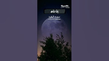إنا لله وإنا إليه راجعون #اكتب_شي_تؤجر_عليه #ياسر_الدوسري#القرآن_الكريم #سورة_البقرة #الله #قرآن