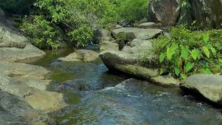 Relaxing Mountain Stream Sounds in Forest - River Sounds for Sleep, Study and Relaxation - ASMR by Nature Sounds 122 views 3 weeks ago 10 hours