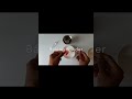 Magic Balloon 🎈 | Baking Soda + Vinegar = WOW! 🧪✨ #Shorts