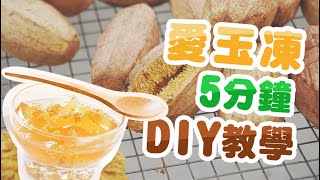 阿里山野生愛玉籽｜愛玉凍：5分鐘DIY製成教學 