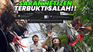 GILAA..! BARU DIMAKE OVER POHON PINUS LANGUNG JADI SARANG BURUNG DI AVIARY DEHAKIMS..!!