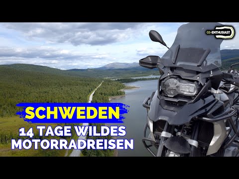 Video: 9 Motorrad Sidecar Hunde, die absolut lieben Leben