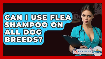 Can I Use Flea Shampoo On All Dog Breeds? - Ask A Pet Vet