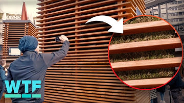 The CityTree uses MOSS to purify and cool air in cities 🌳