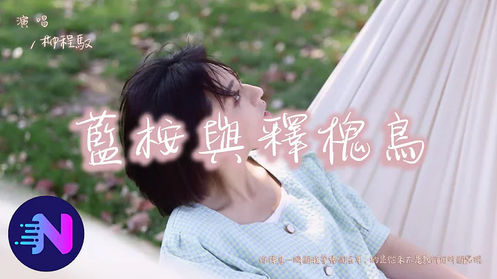 柳程馭 - 藍桉與釋槐鳥『你棲息一瞬間我等幾個流年，約定從來不是敷衍用時間兌現。』【動態歌詞】 - 天天要聞