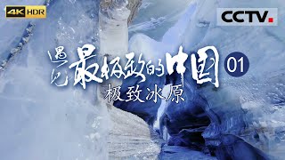 《遇见最极致的中国》EP01 全球低纬度带最大的冰原！西藏无人区 这里有冰川筑成的城堡 生命也存活在这里！——极致冰原（4K）【CCTV纪录】