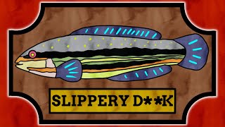 5 Fish With Bizarre Names