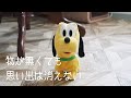 ミニマリストにはなれないけれど、物と向き合う掃除は大事な行事 / 掃除で終わった一人暮らしの一日