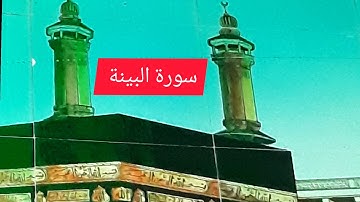 سورة البينة للقارئ : عبد الرؤوف أحمد نعناع بتلاوة ندية