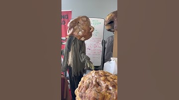 Walking Bread Workshop Archive – Masks, Puppets, and Tabletop Prototypes