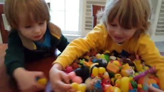 Thrift Store Toy Find - Rubber Duck Collection