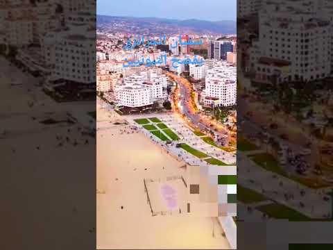 سفيان الجزائري يفضح التبونيين