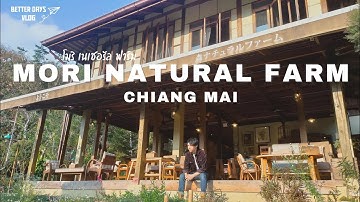 อิ่มใจไปกับคาเฟ่สไตล์ญี่ปุ่น Mori Natural Farm เชียงใหม่ | Better Days Vlog
