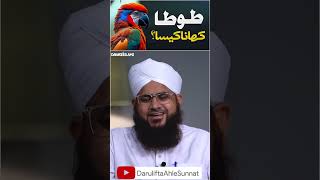 Tota (Parrot) Khana Kaisa? Parrot Khana Halal Hai Ya Haram?