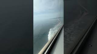 IMG 0862 #everyone #naturelovers