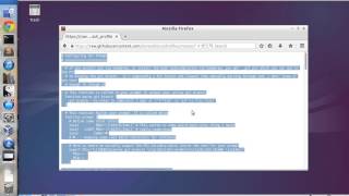 Creating a Custom Bash Profile in LXTerminal