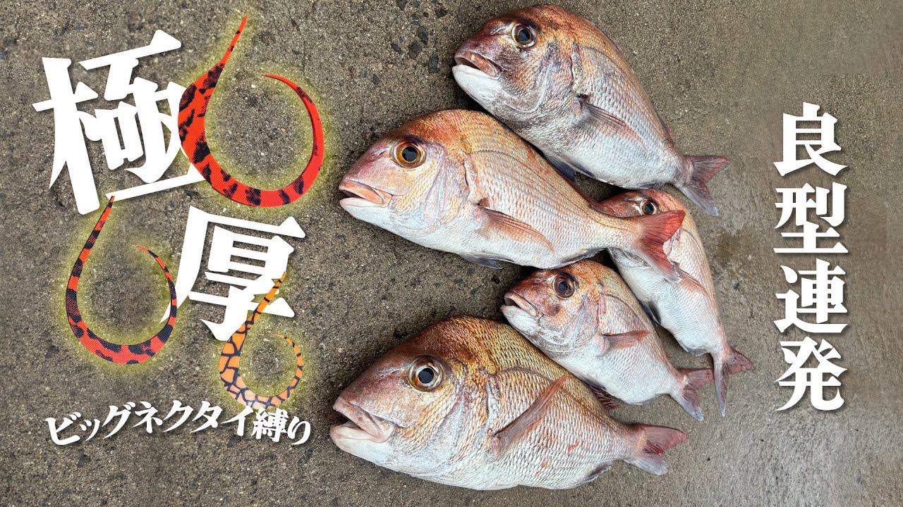 タイラバオタクが炎月プレミアム150PG/151PGを徹底インプレ！【シマノ