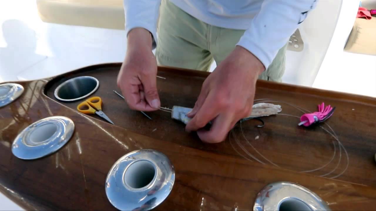 Rigging Belly flap baits