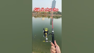 Cần Lure LK Hoà Giá Hssv #fishing #cauca