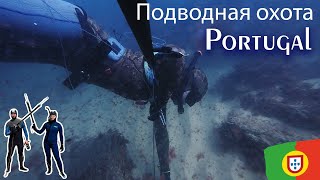 Наконец-то дождались спокойный океан, но много водорослей и плохая видимость