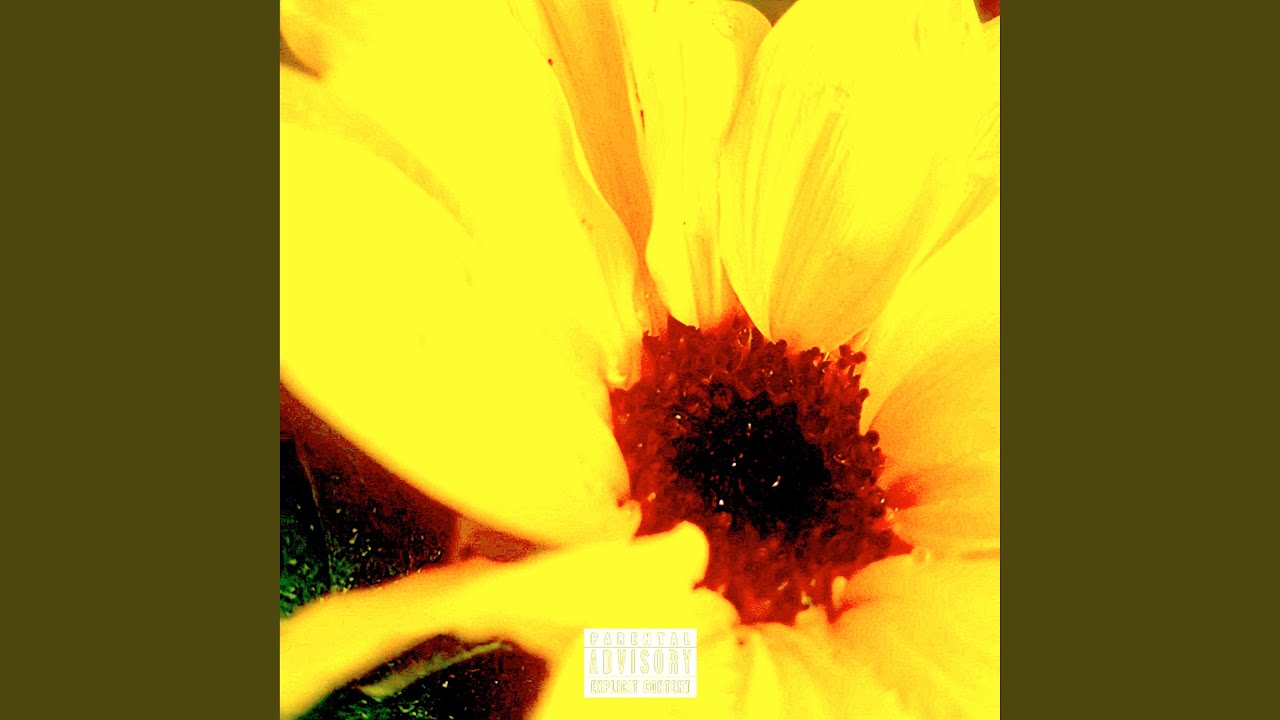 Watch February Second on YouTube Watch February Second on YouTube