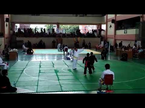 elang putih 