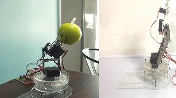 5 DOF Programmable Robotic ARM