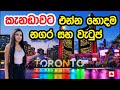 2021 කැනඩාවට අලුතින් එන්න හොඳම Cities | Best cities for immigrants in Canada 2021