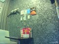 GRAPEVINE/すべてのありふれた光【うたスキ動画】