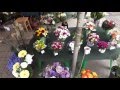 Вот какие цветочные магазины в Польше Floral Poland