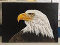 #141. how to paint an eagle in acrylic