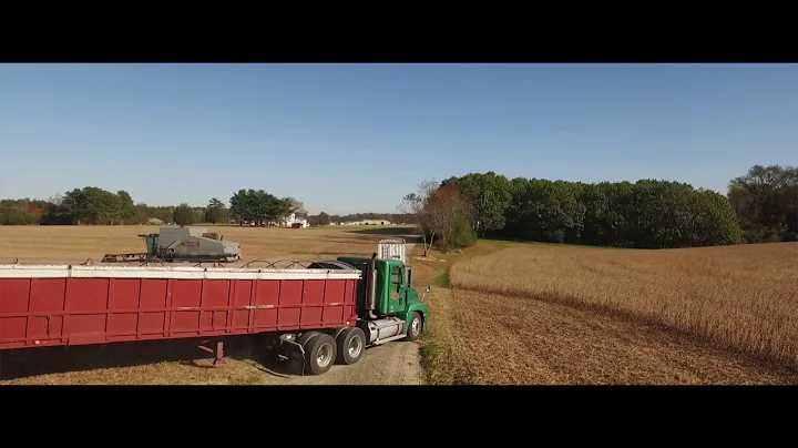 Hartfield Virginia Farm 11/18/16