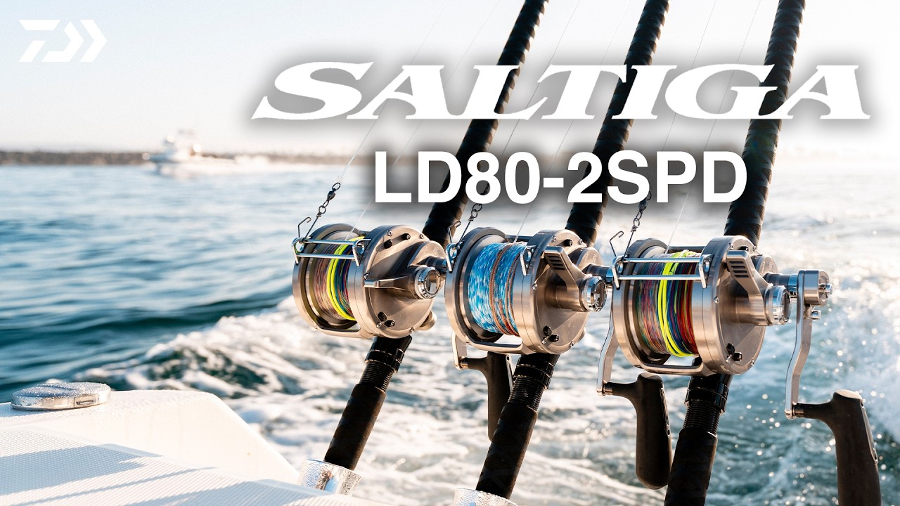 2026 SALTIGA LD 80 2-SPD 