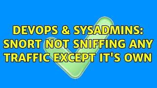 DevOps & SysAdmins: Snort not sniffing any traffic except it's own Wealth