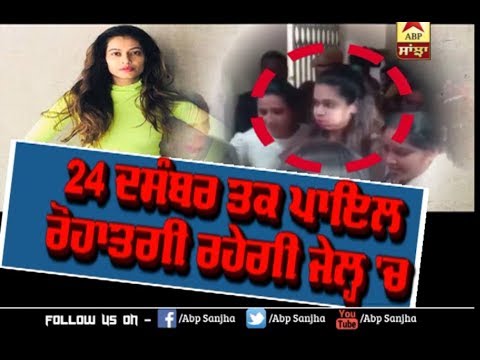 Bail denied, Actress Payal Rohtagi to be behind bars till December 24 | Controversy |