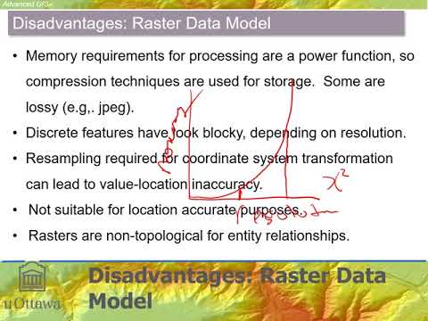 Advantages & disadvantages of raster representation