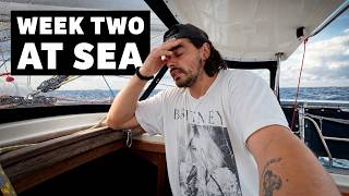 Information The Reality of Sailing Around the World Is Setting In Guide