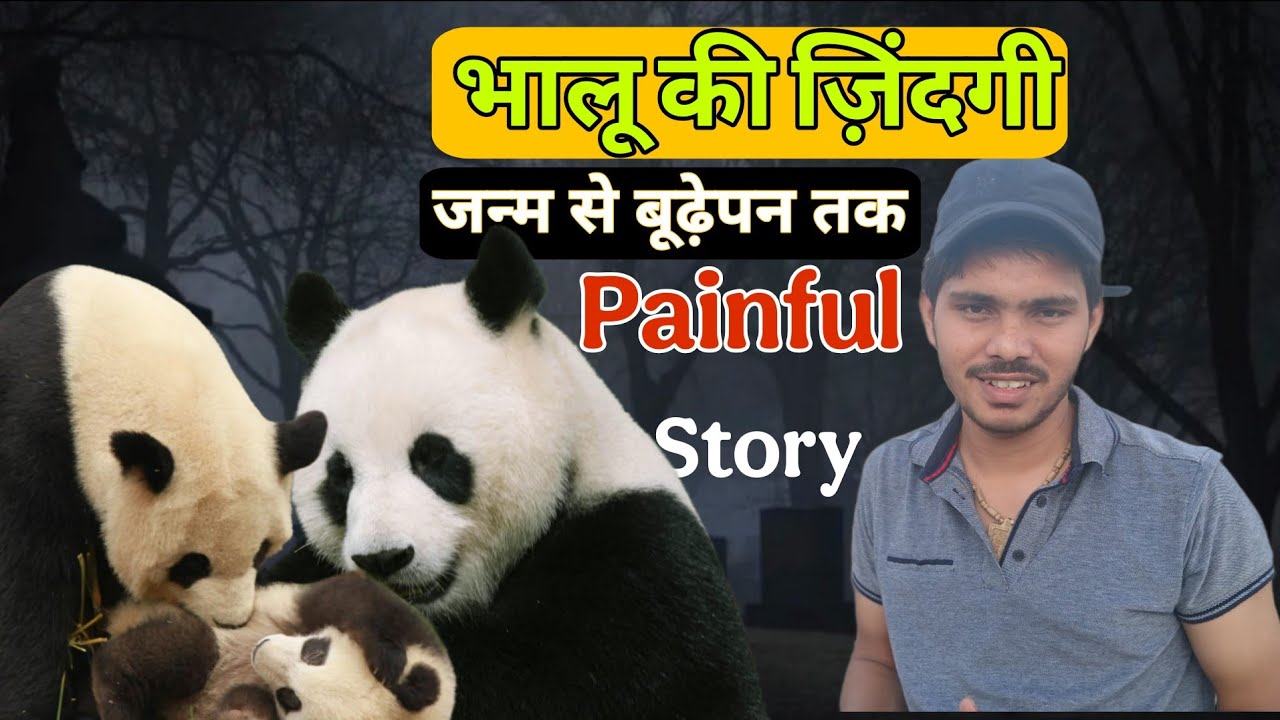 Born to Death भालू की ज़िंदगीजन्म से बूढ़ेपन तक BEAR Life 🐻 Story | Scary Story 