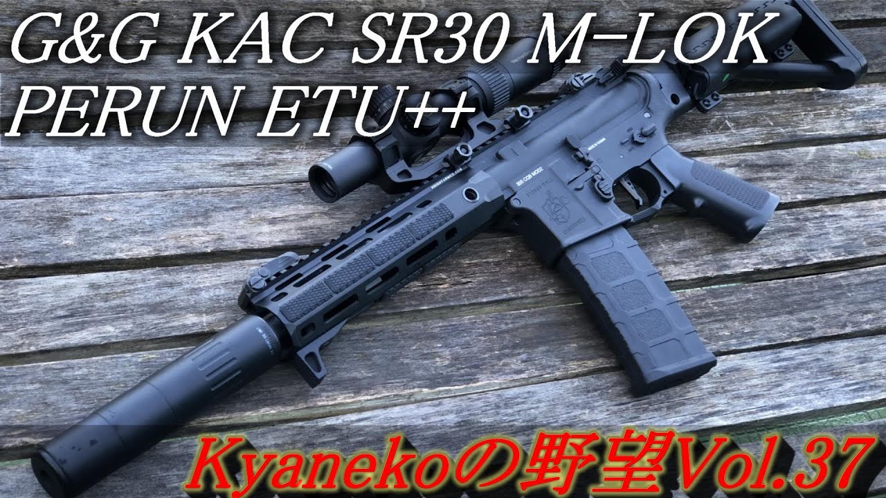G&G 電動ガン SR30 エアソフト97カスタム ほかカスタム複数