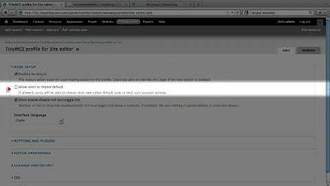 122. How the Wysiwyg "Basic settings" and "Buttons and Plugins" options work (a Drupal how-to)