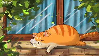 Lofi With My Cat || Tropical Room & Cat ~ Chill/Sleep/Healing [ Lofi Mix - Lofi Songs ]