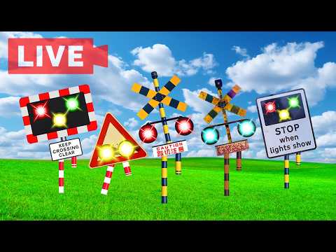 【踏切アニメLIVE】 #234 今日はどんなカンカン踏切ハプニング？｜毎日更新中！