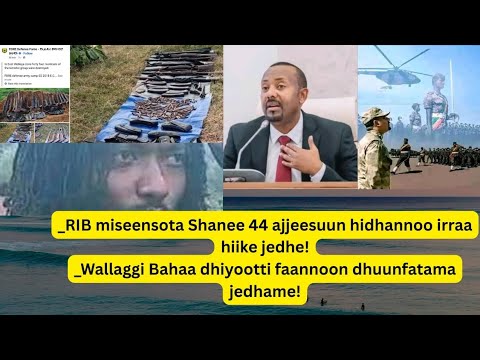 Sad 12 2025 Miseensota Shanee 44 Ajjeesn