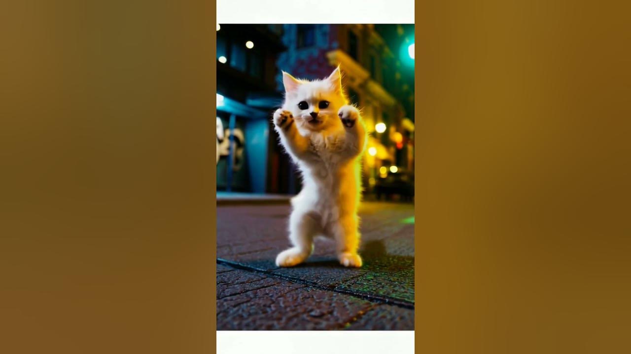 #cover #dj #djremix #remix #music #cat #anmals #dugemkenceng #tranding #kitten #shorts #dance  #cute