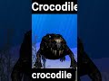Everybody hit the sea lion #charred #crocodilo