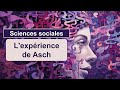 Le conformisme social / Expérience de Asch - Projet P07